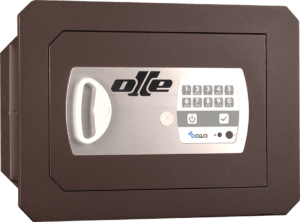 1000 Series Wall safe